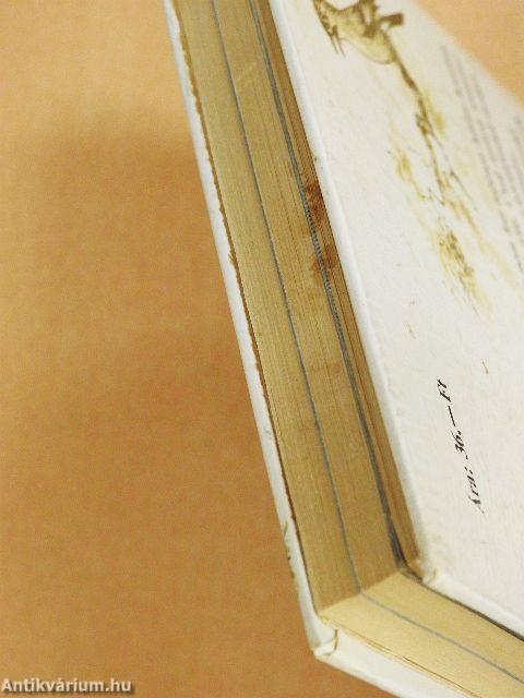 Erdőn-mezőn nyitott szemmel