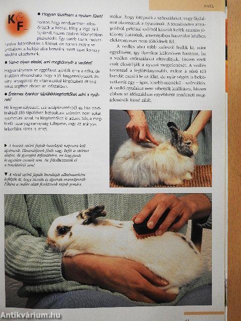 Házi kedvencek kézikönyve