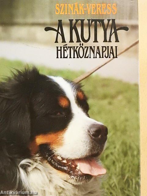 A kutya hétköznapjai