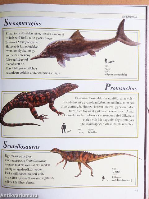 Dinoszaurusz gyermekenciklopédia