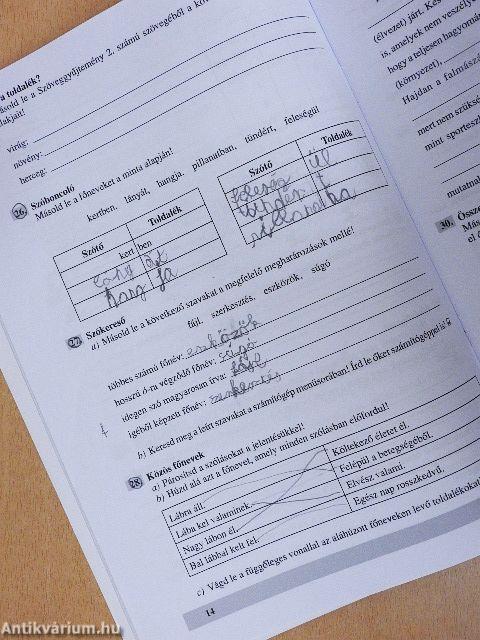 Anyanyelvi gyakorlófüzet 3-4. osztály