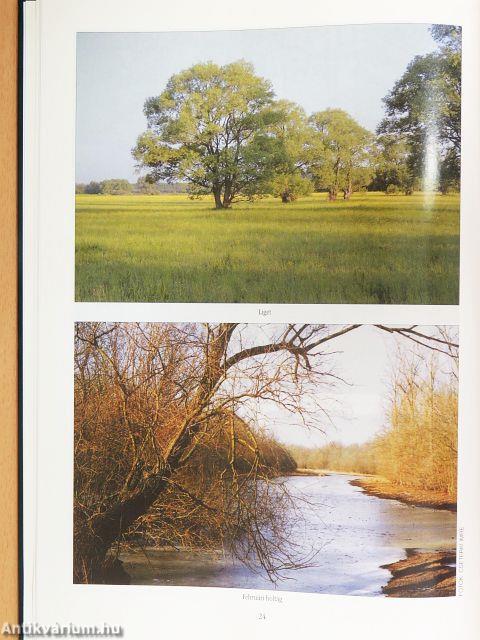 Millenniumi Vadászati Almanach - Pest Megye 2001