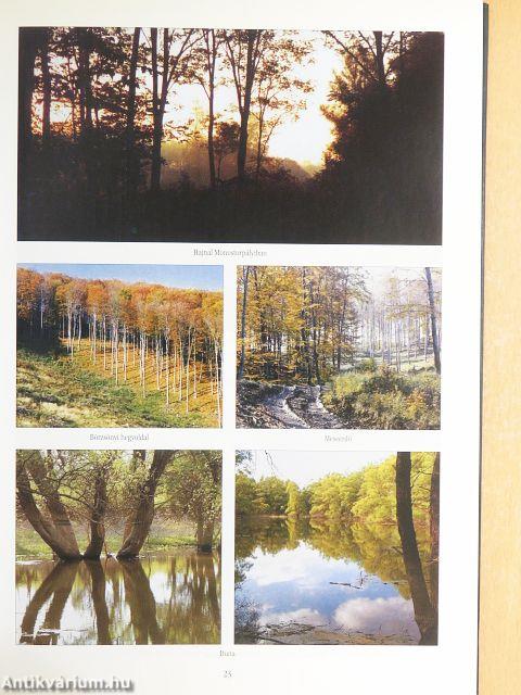 Millenniumi Vadászati Almanach - Pest Megye 2001