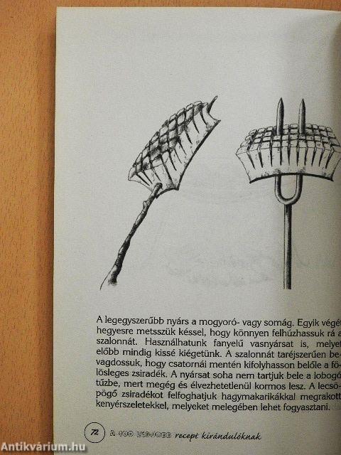 A 100 legjobb recept kirándulóknak