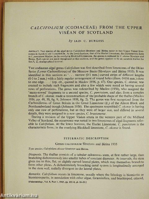 Calcifolium (Codiaceae) from the Upper Viséan of Scotland