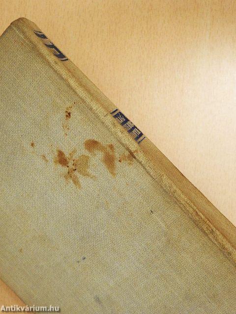 A világ legszebb asszonya