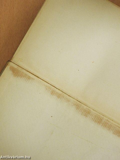 A világ legszebb asszonya