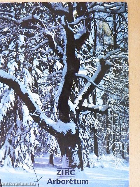 Zirc - Arborétum