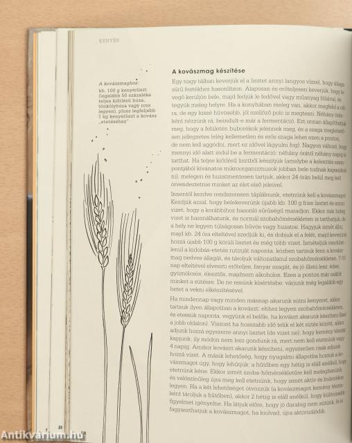 River Cottage minden napra