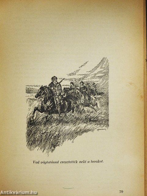 A nagy indiánus-könyv II.