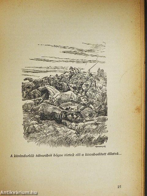 A nagy indiánus-könyv II.