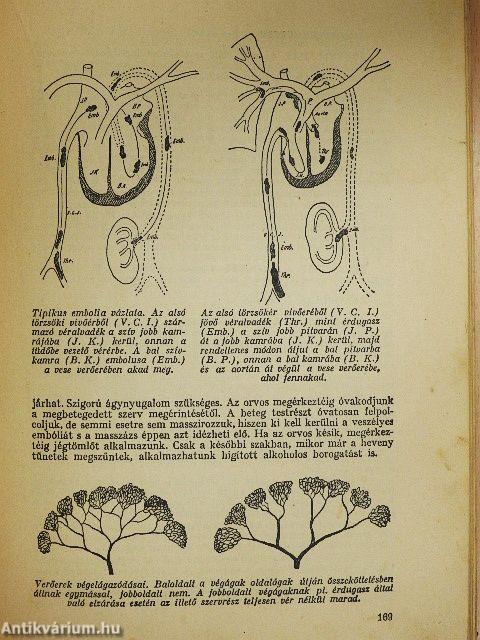 Orvos a családban IV.