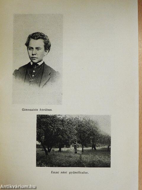 Jézus szive apostola