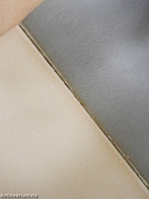 Fejezetek határozóragjaink élettörténetéből