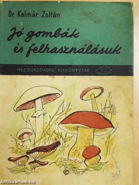 Jó gombák és felhasználásuk