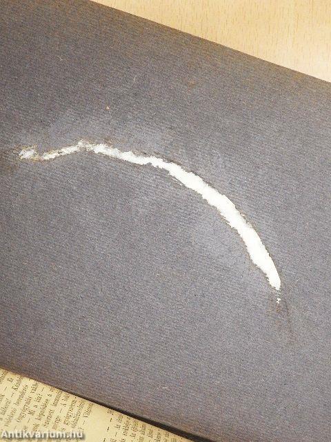 Az emberi test csodái