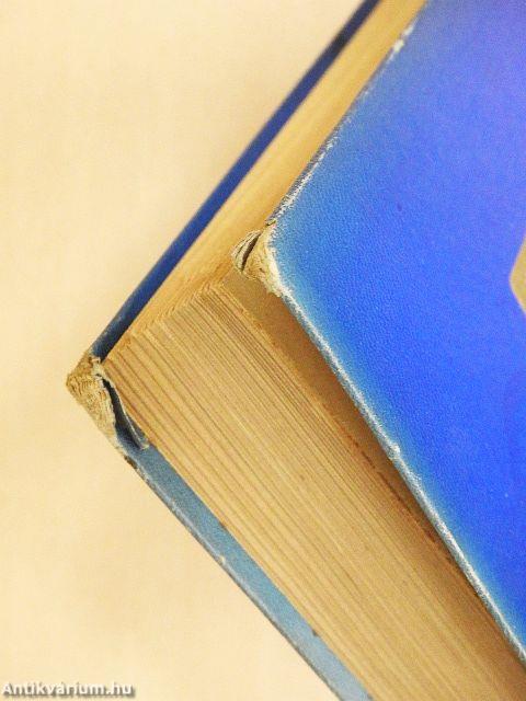 A párisi Notre Dame