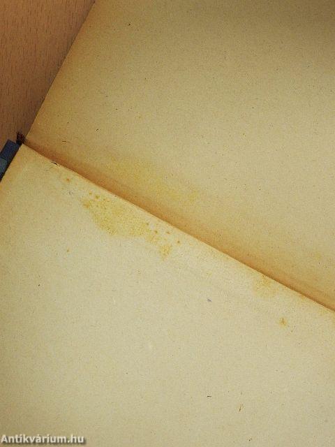 A párisi Notre Dame