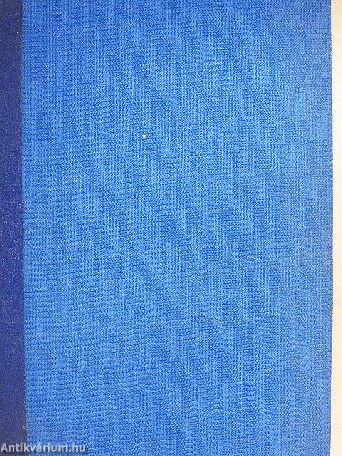 Orvos a külvárosban