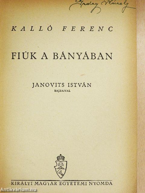 Fiúk a bányában