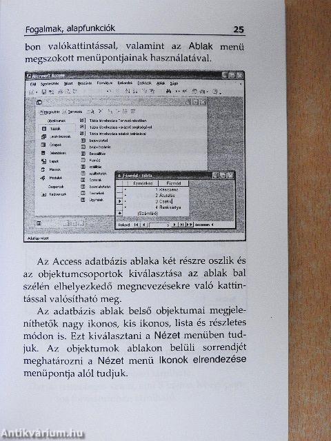 Access 2003 zsebkönyv