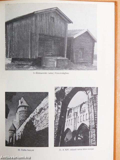 Uráli nyelvrokonaink