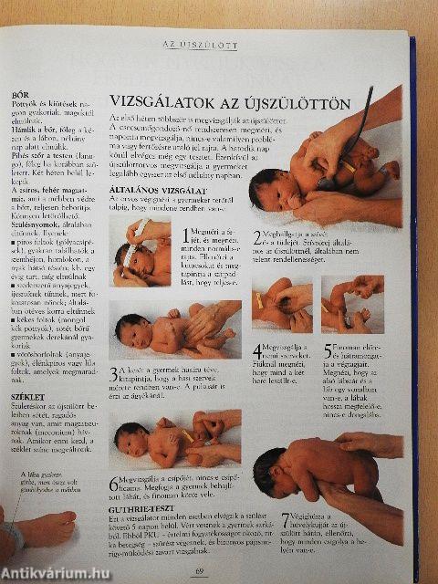 Kismamák nagykönyve