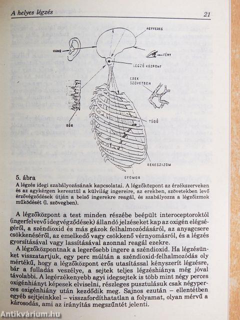 A légzés gyógyító hatása