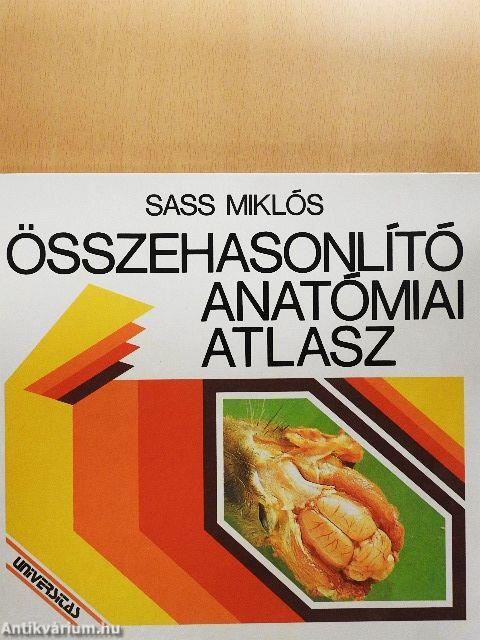 Összehasonlító anatómiai atlasz