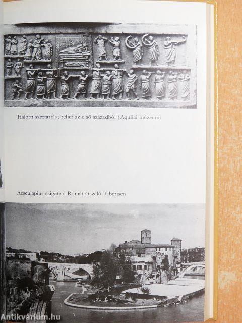 Reng a föld Itáliában