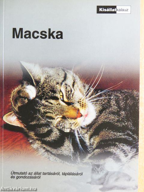 Macska