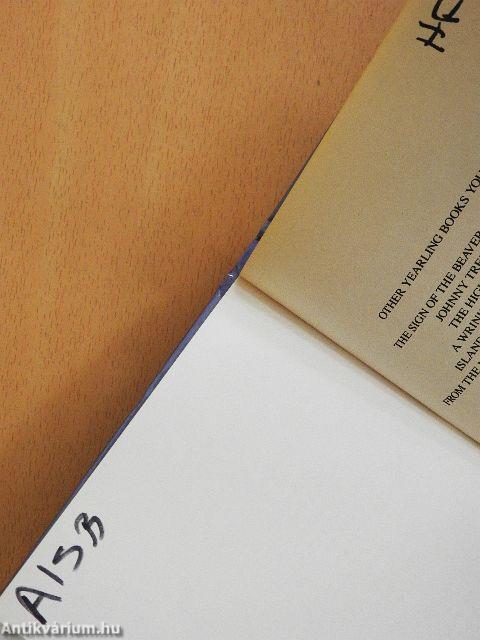 The Witch of Blackbird Pond