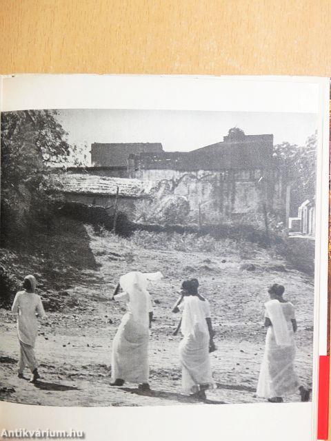 Hőség és láz a Távol-Keleten