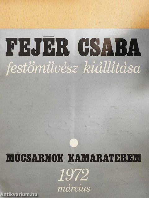 Fejér Csaba festőművész kiállítása