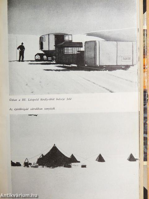 Újra az Antarktiszon