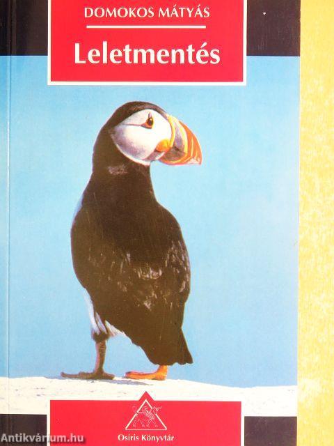 Leletmentés