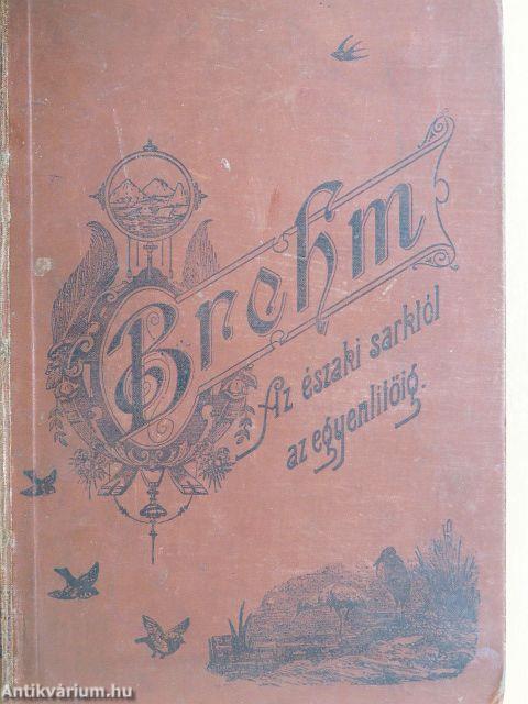 Az Északi Sarktól az Egyenlítőig