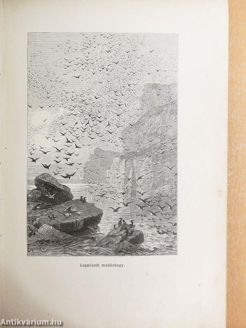 Az Északi Sarktól az Egyenlítőig