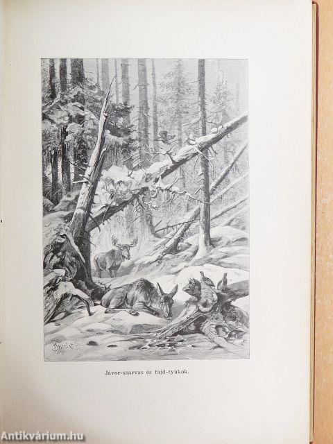 Az Északi Sarktól az Egyenlítőig