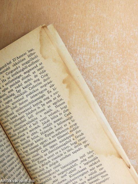 A regény válaszútjai