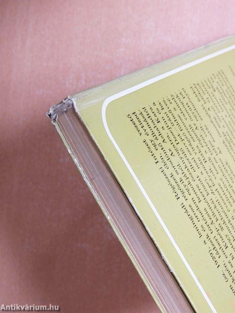 Egy kőkori település Közép-Ázsiában: Dzsejtun