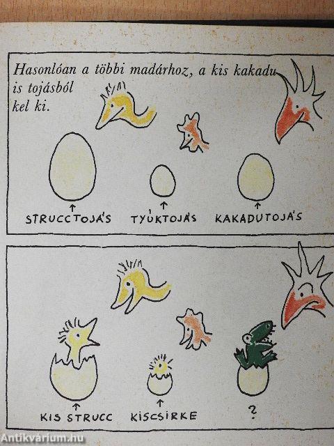 Ismeri Ön a kakadut?