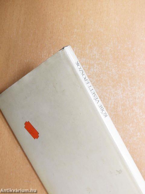 Kőbe vésett eposzok