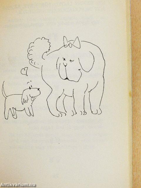 Murphy szex törvénykönyve