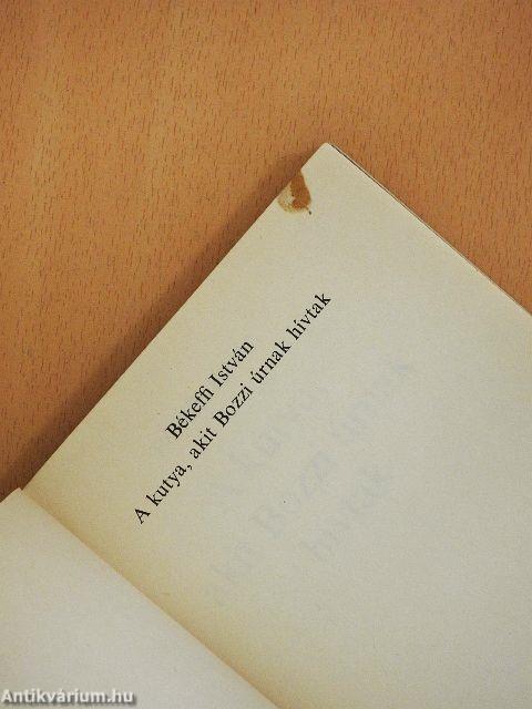 A kutya, akit Bozzi úrnak hívtak