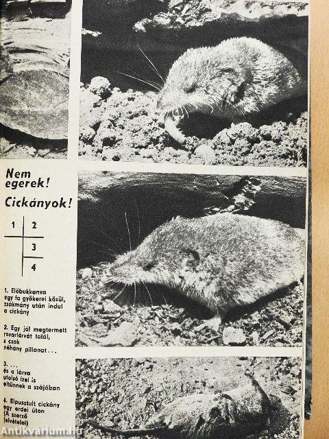 Élet és Tudomány 1975. (nem teljes évfolyam) I-II.