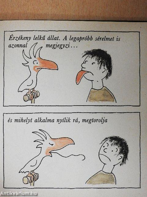 Ismeri Ön a kakadut?