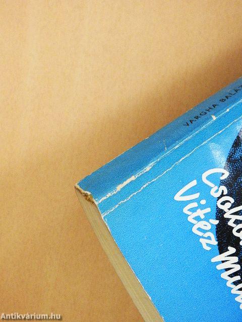 Csokonai Vitéz Mihály alkotásai és vallomásai tükrében