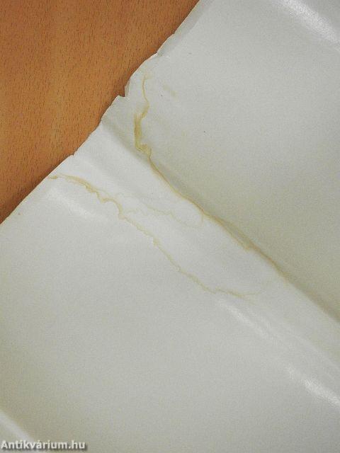 Der Gescholtene Thales