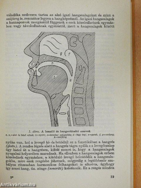 Mai francia nyelvtan